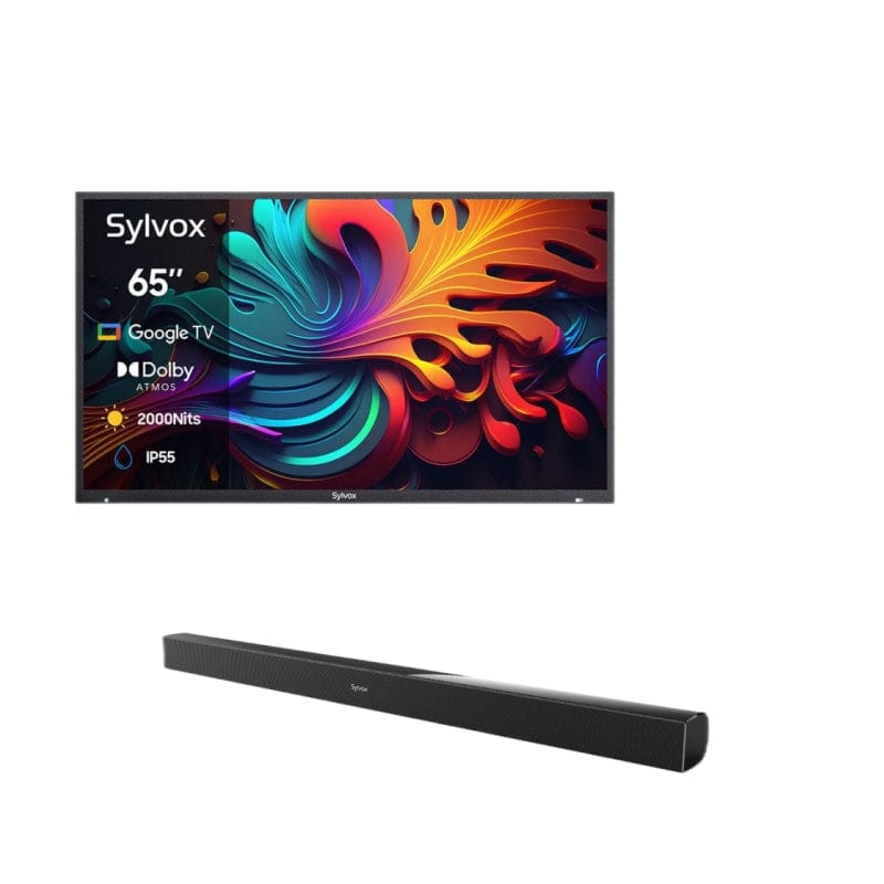 65" Advanced 2024 Pool Pro 2.0 QLED Google Outdoor TV