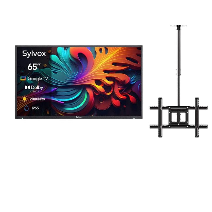 65" Advanced 2024 Pool Pro 2.0 QLED Google Outdoor TV