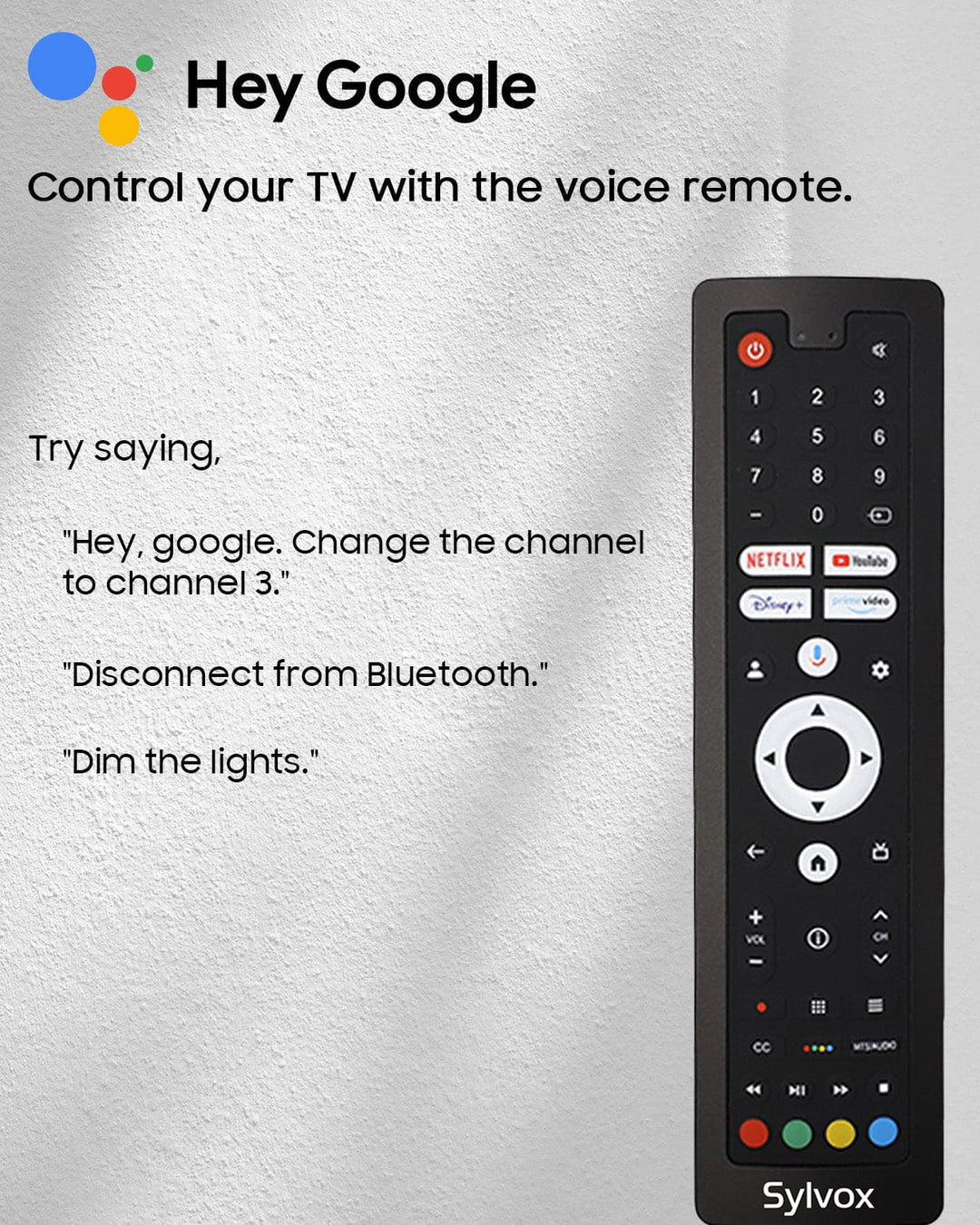 65" Advanced 2024 Pool Pro 2.0 QLED Google Outdoor TV