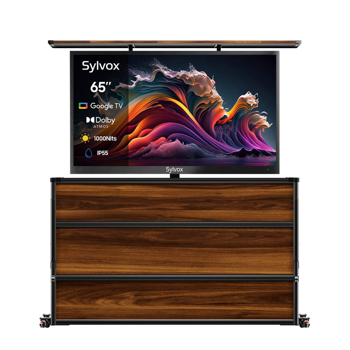 65" Advanced 2024 Pool Pro 2.0 QLED Google Outdoor TV