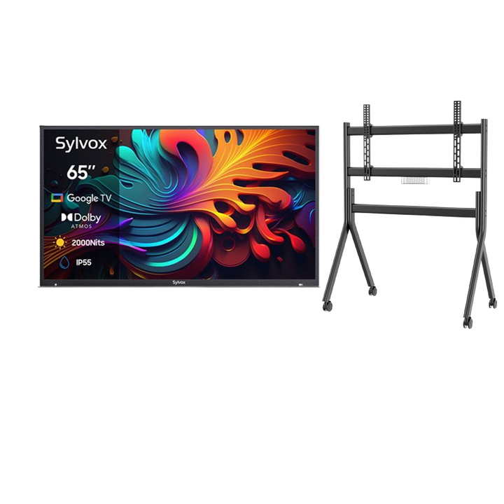 65" Advanced 2024 Pool Pro 2.0 QLED Google Outdoor TV